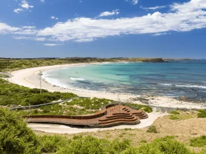 Read more about the article Exploring Phillip Island: A Comprehensive Guide for First-Time Visitors