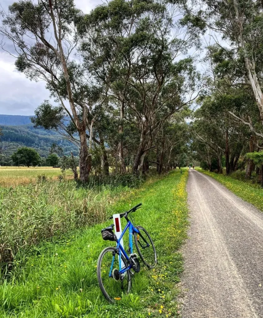 Warburton Rail Trail