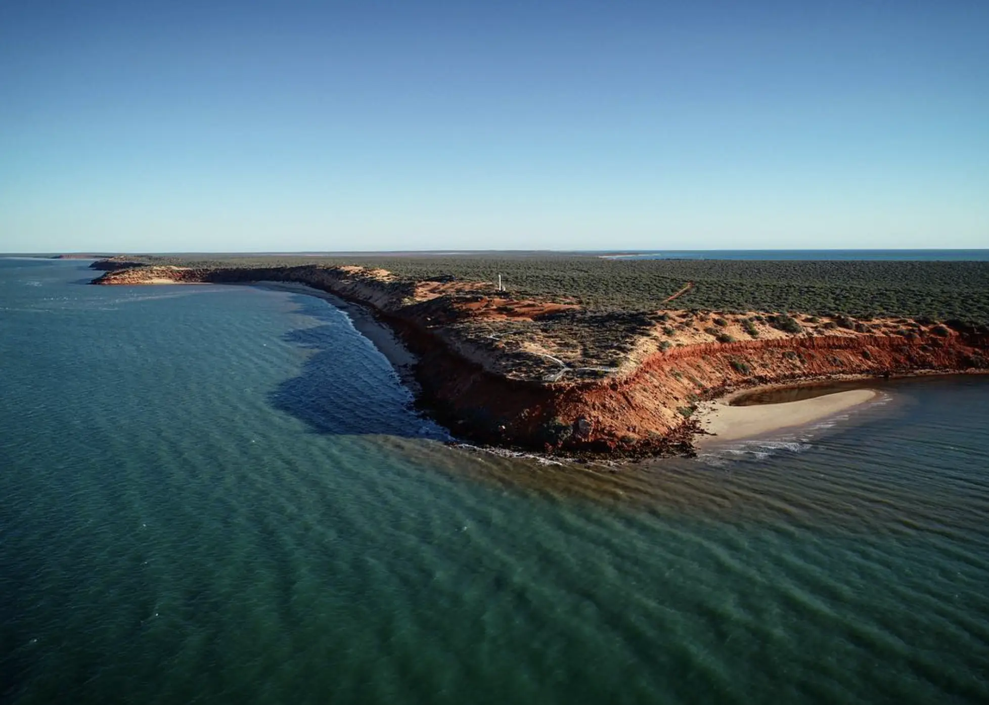 Shark Bay Fishing