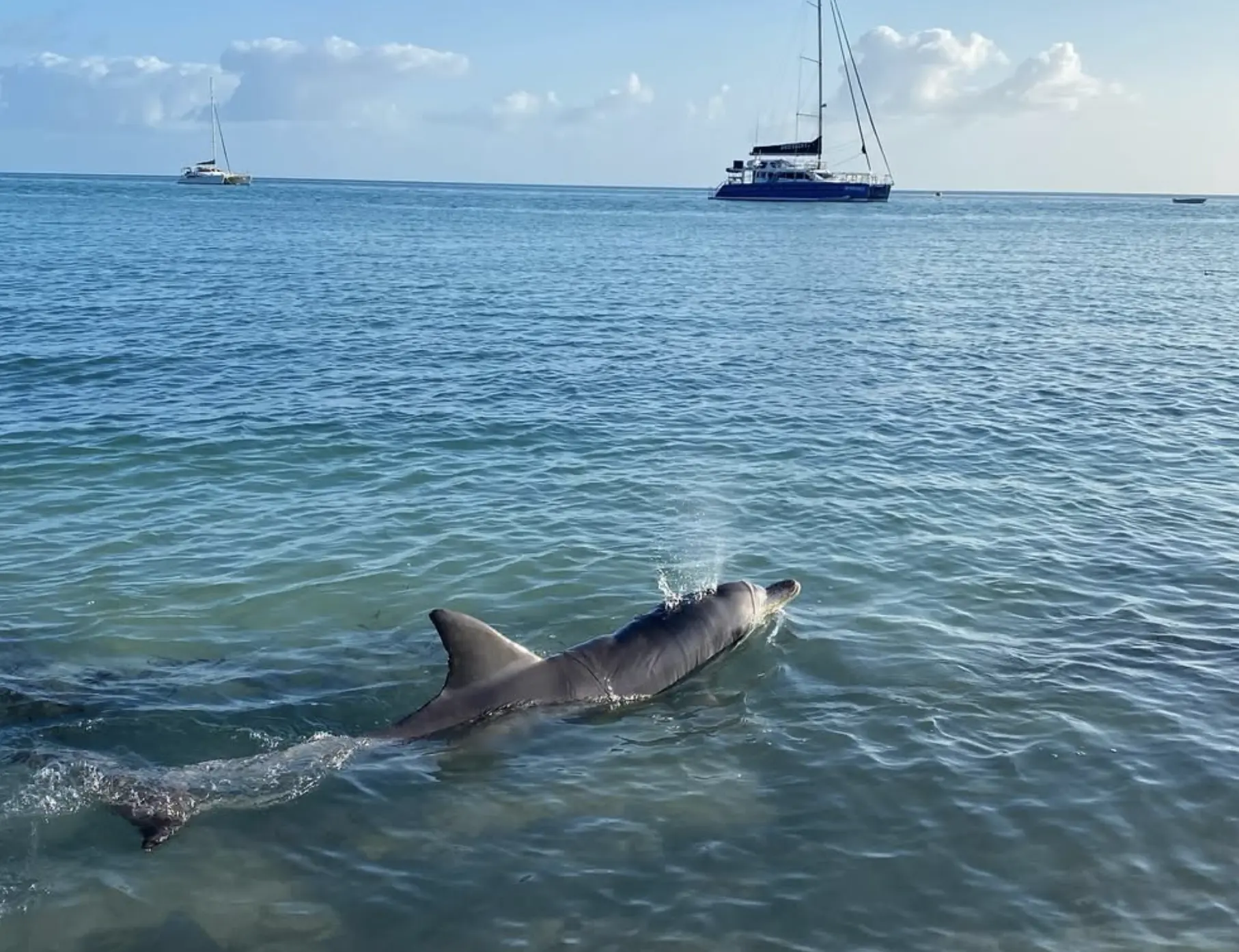 World Heritage Shark Bay