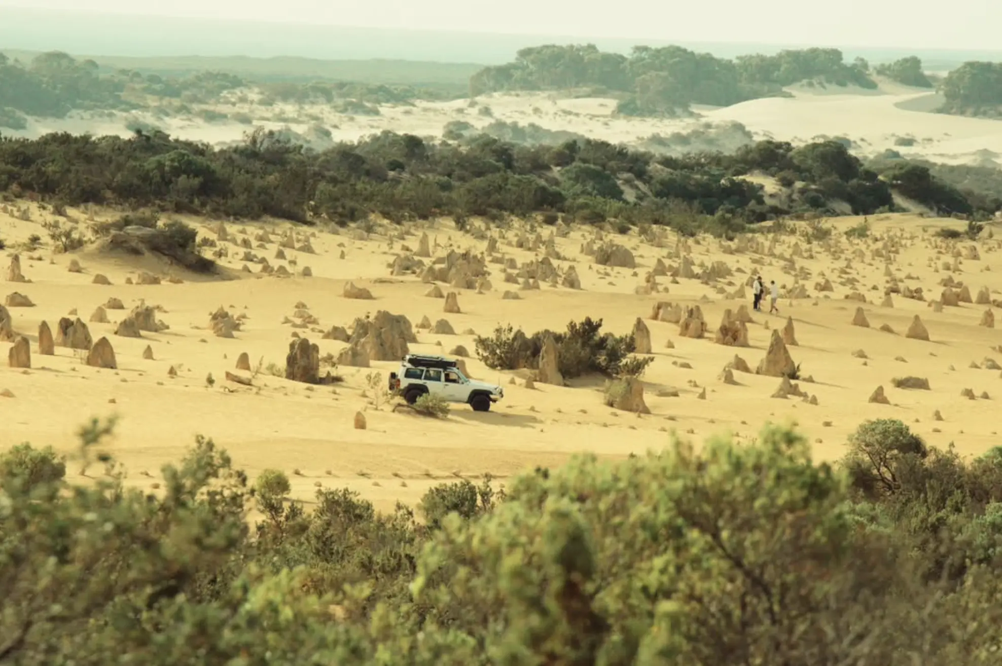 Indian Ocean Drive