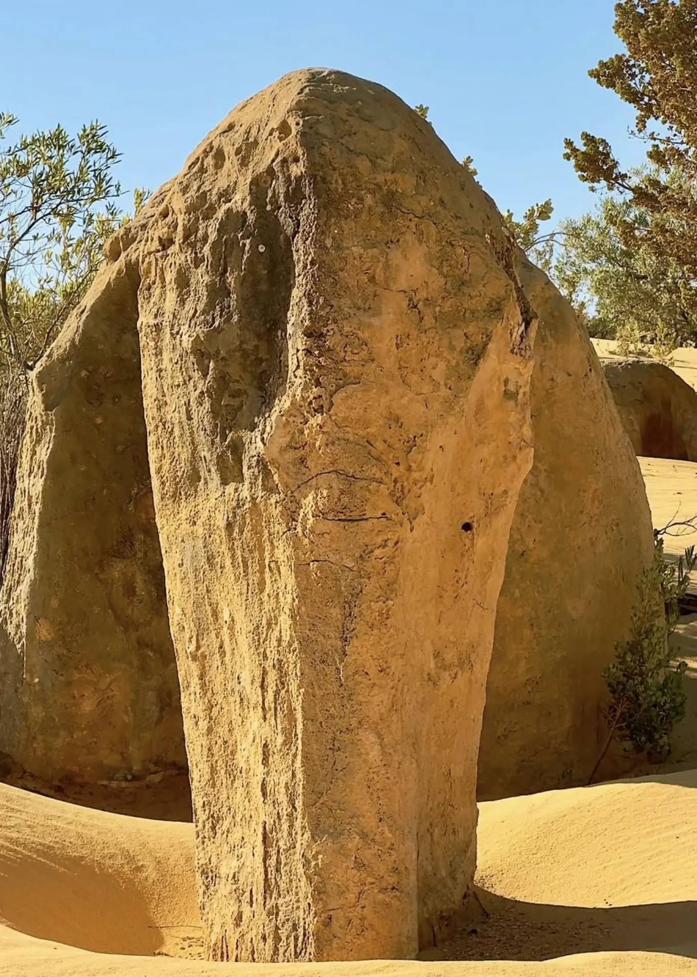 Pinnacles Desert day trip