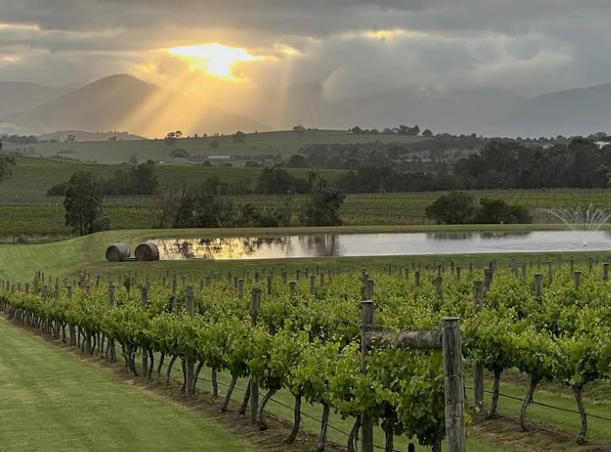 accessible wineries Yarra Valley