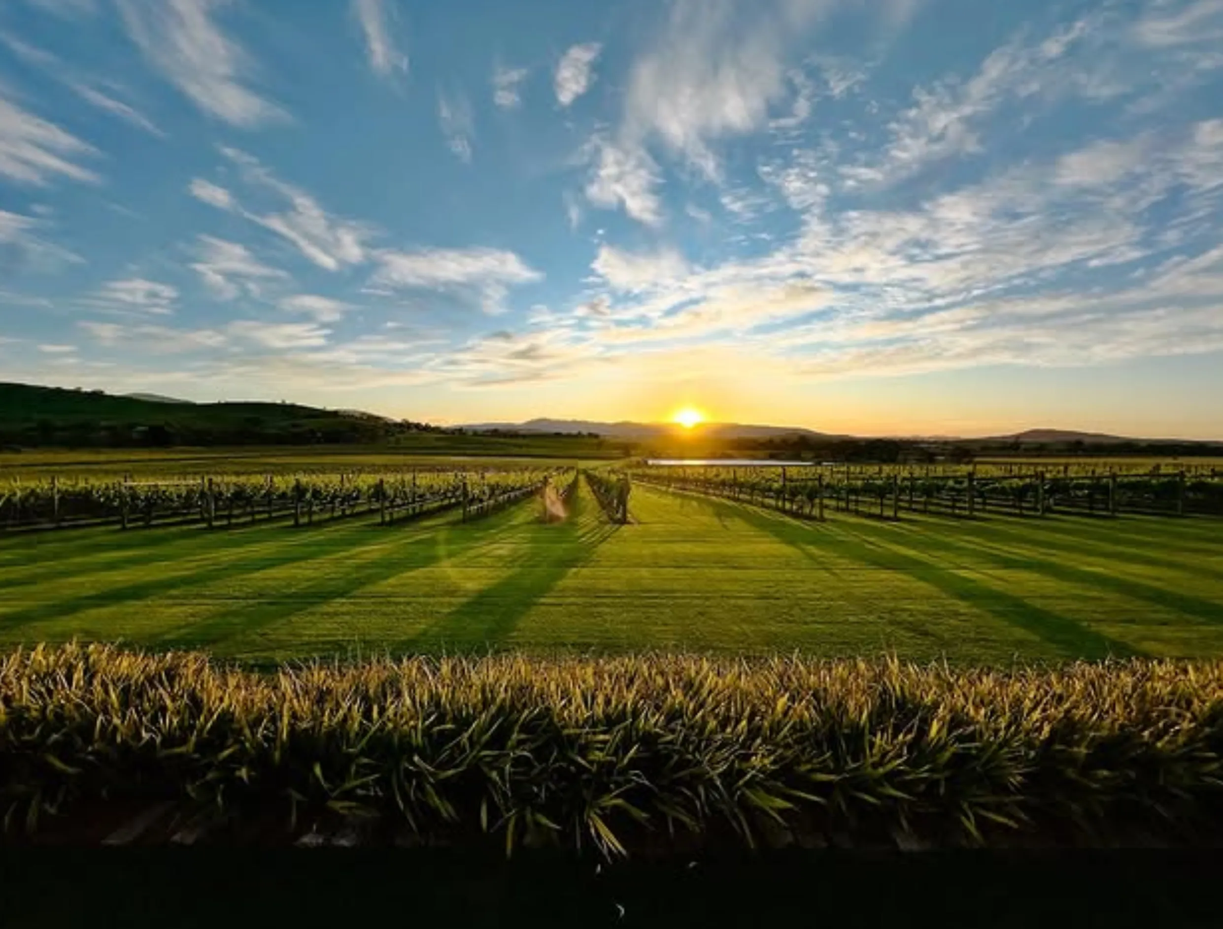 Yarra Valley mobility friendly attractions