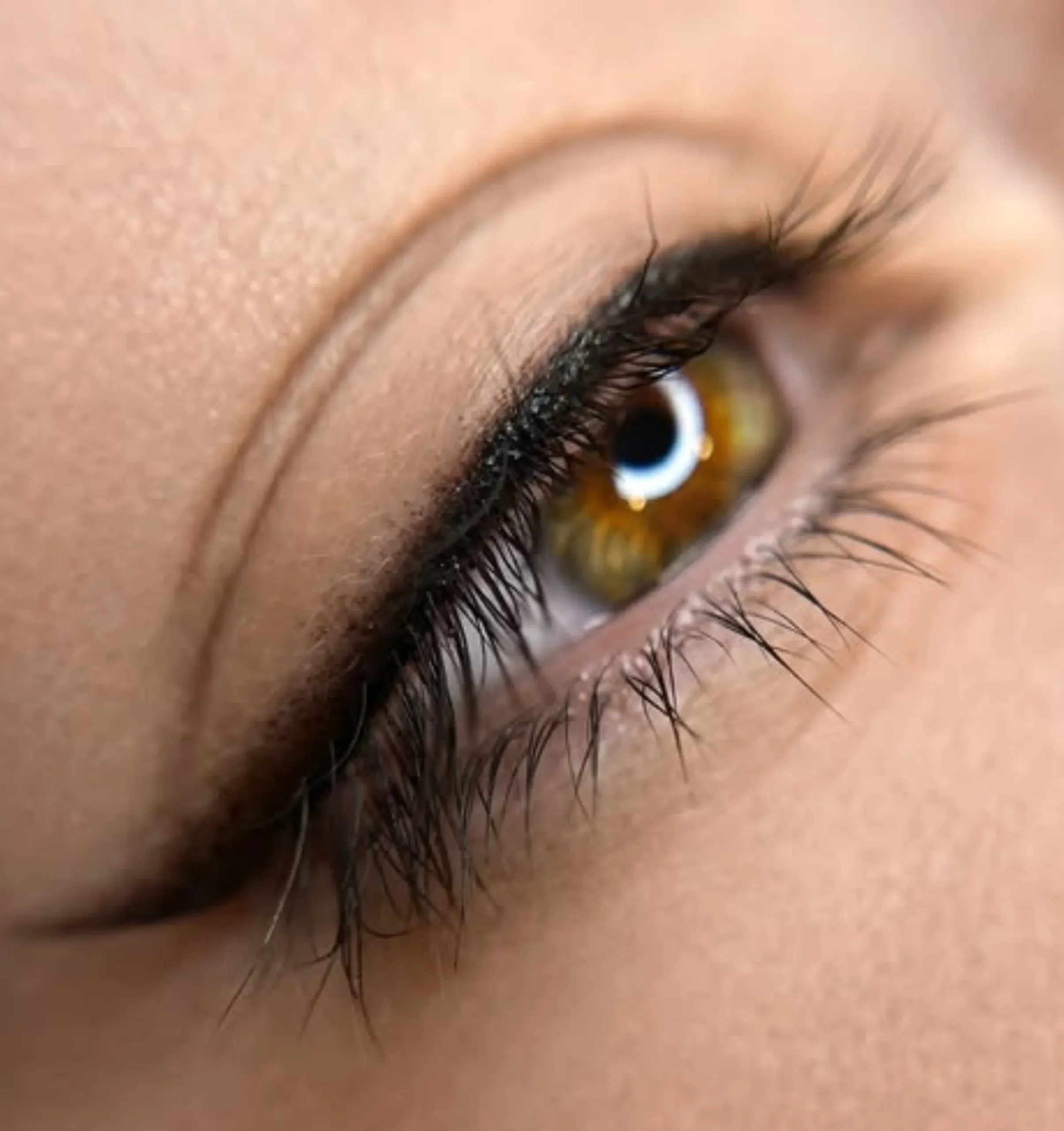 long lasting eyeliner for oily skin