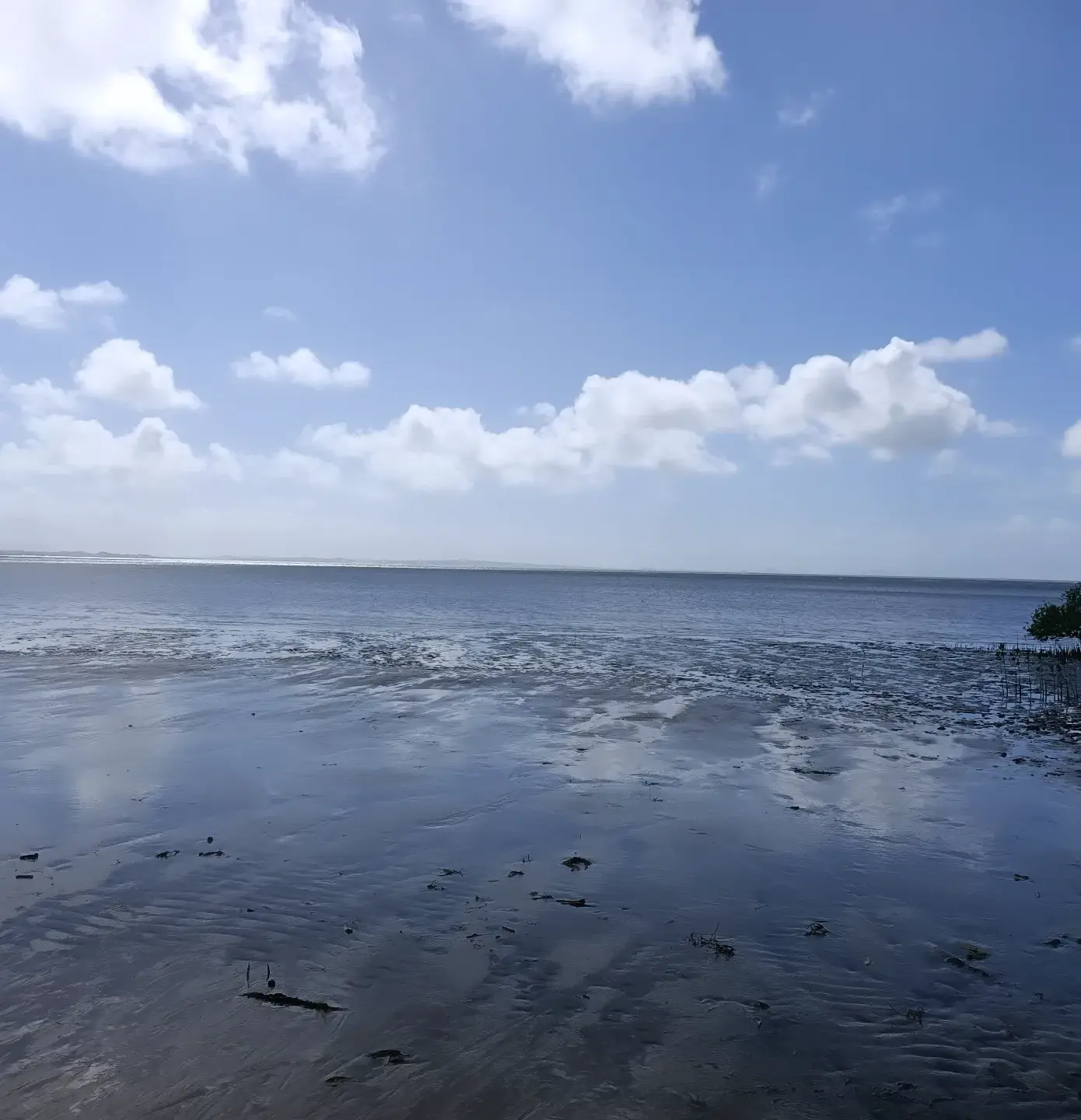 is it safe to swim in Northern Australia