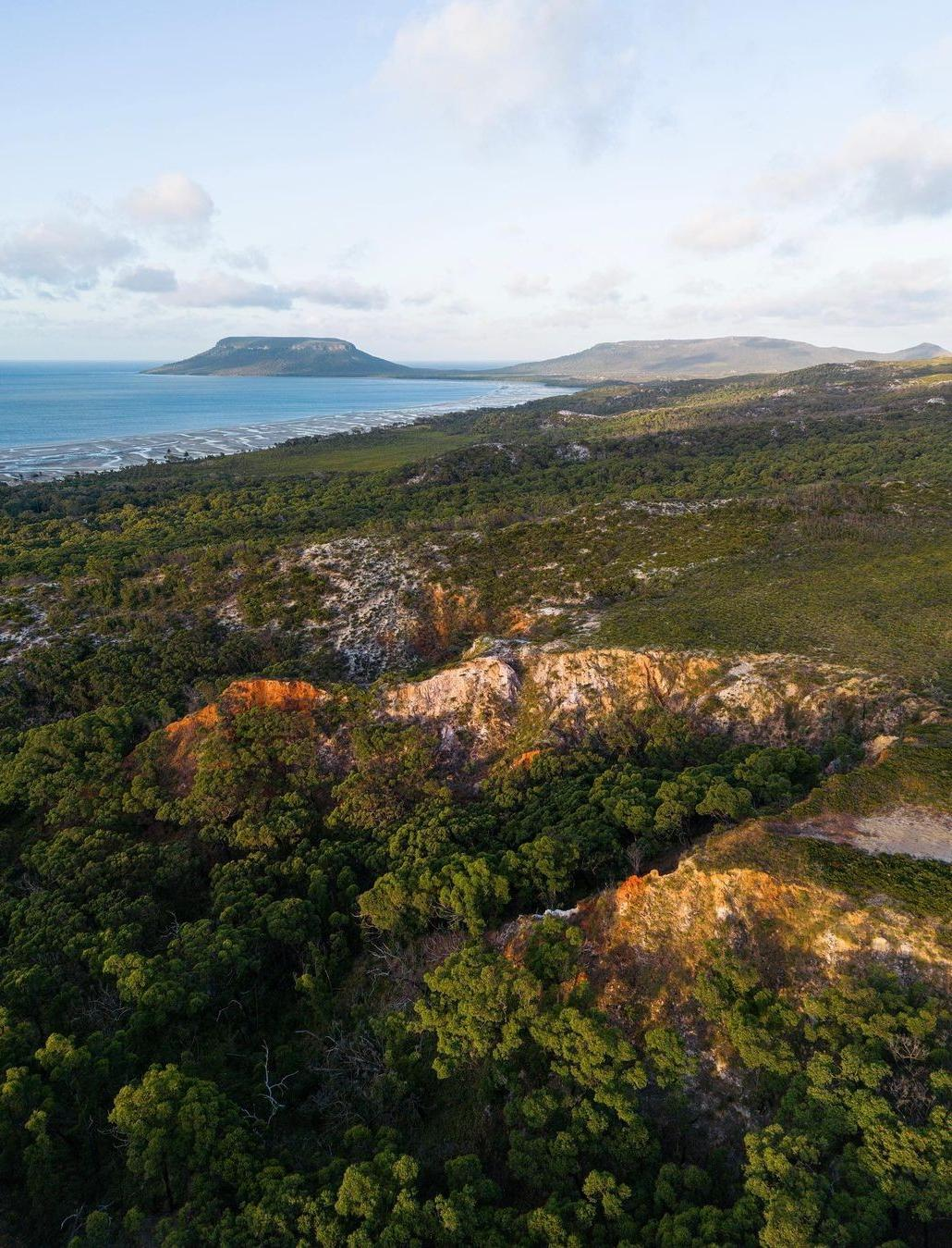 Read more about the article Is It Safe To Swim In The Ocean In Northern Australia? (Crocodiles vs. Stingers Explained)